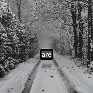 "Resilience Prevails: Tough Times and Steady Progress"