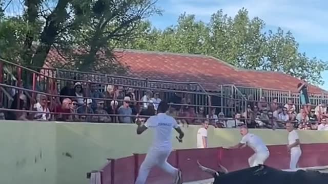 It takes a lot of physical strength to fight a bull