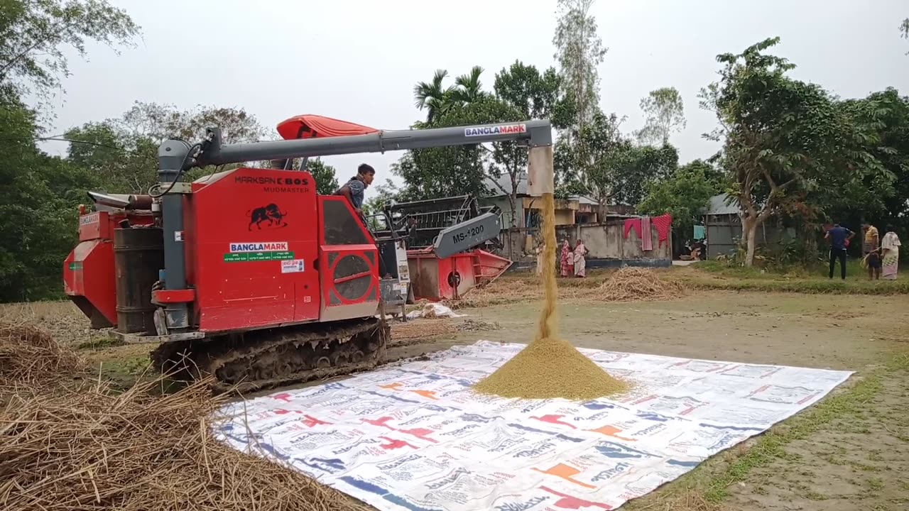 Rice cutting machine