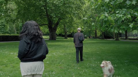 A couple is walking with an Australian shepherd in the park