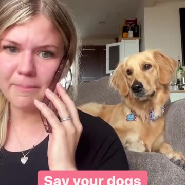 Saying dogs favorite words 😂