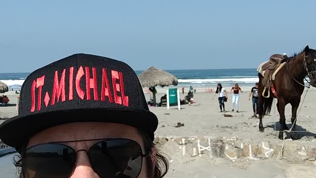 They have horses in the Playa La Mision 🇲🇽