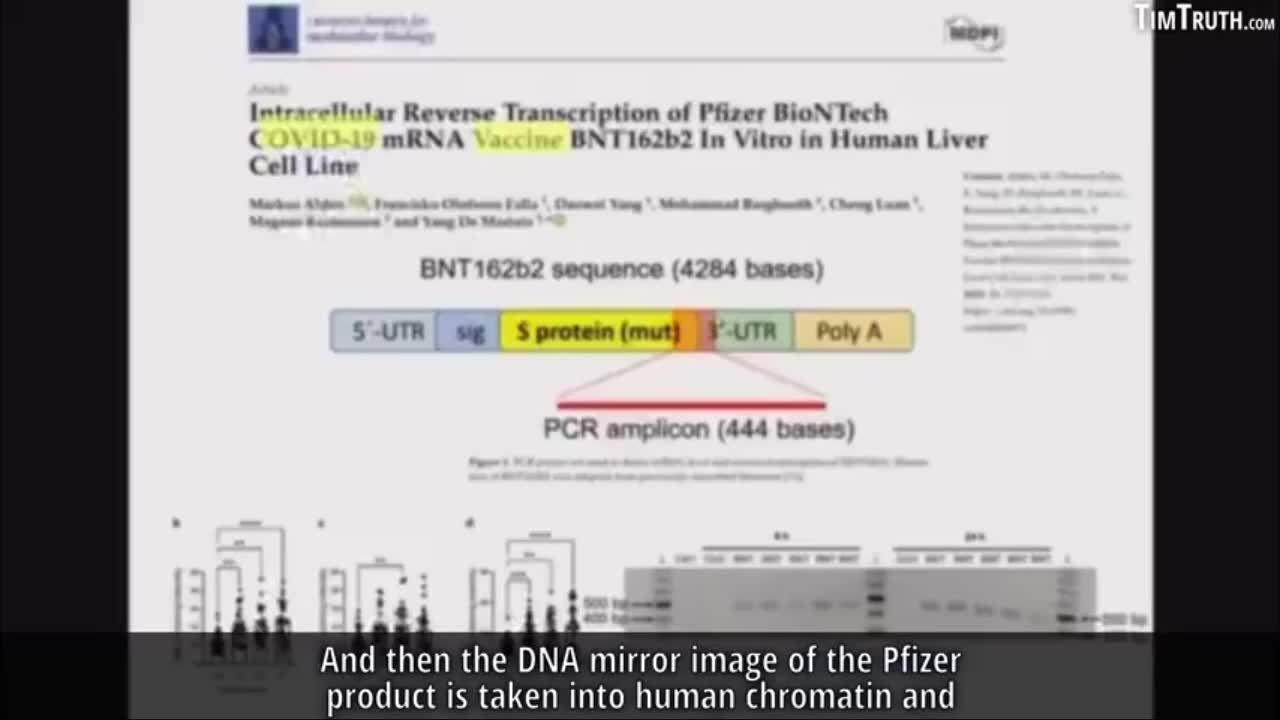 BOLO Radio: The Big Banks and War Diplomats. Humankind's Genome Poisoned? Monkeypox or Moneypox?