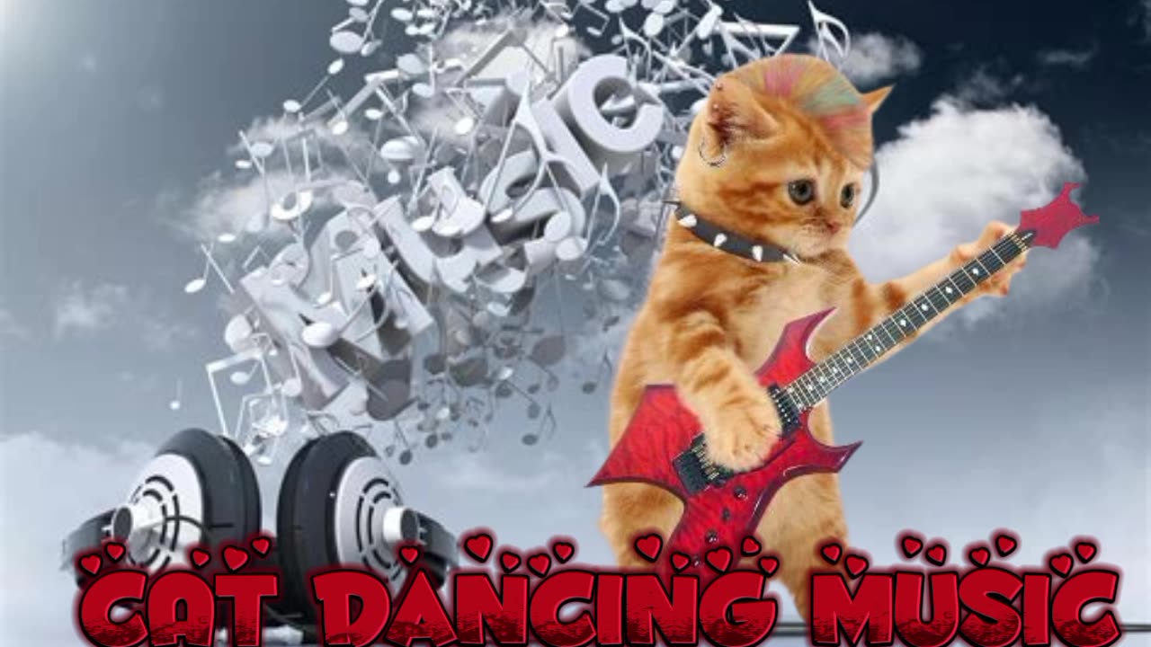 Cat Dancing Music 🎶