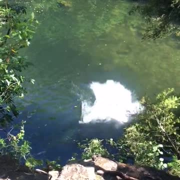 Girl in black wetsuit on rope falls into water