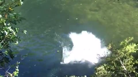 Girl in black wetsuit on rope falls into water