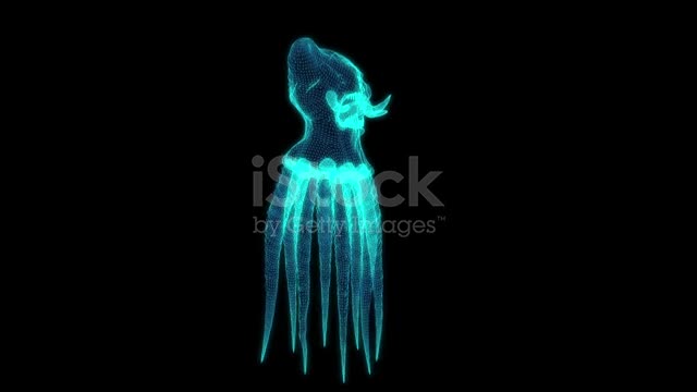 3d wire frame animation of Monster Octopus on black background