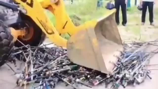 This is a beautiful and charming water-dwelling species