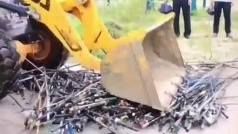 This is a beautiful and charming water-dwelling species