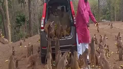 The kind man buy banana for them