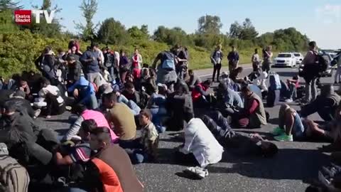 Denmark closes road as refugees attempt to reach Sweden by foot