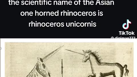 Unicorns are actually Rhinoceros... What? Who decided to change that?