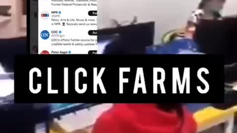 Ever wonder why false information is always trending? Click Farms!