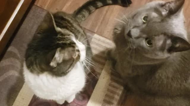 So cute when it comes to soft food time