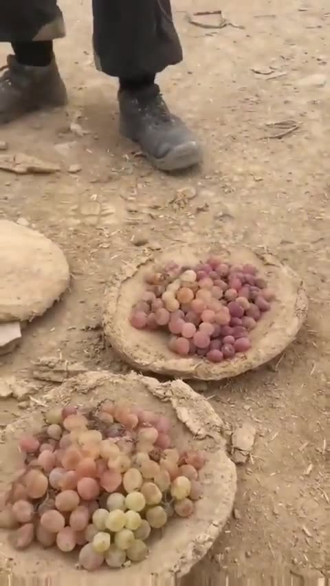 Grapes can be stored for 6 MOnths