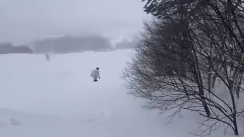 happy skiing