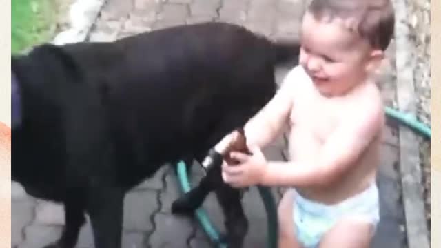 Cute baby funny videi