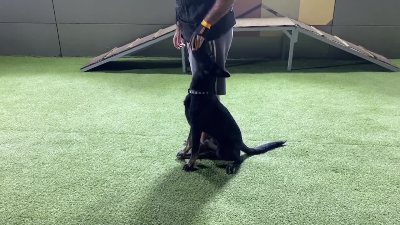 6 Month jump training fun