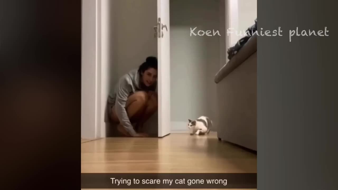 Funny videos 2024😍😍😍#sofunnypleasehelp😂