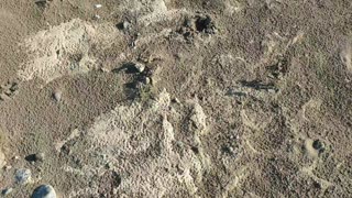 Natural Materials in the wadis