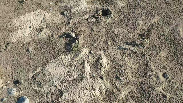 Natural Materials in the wadis