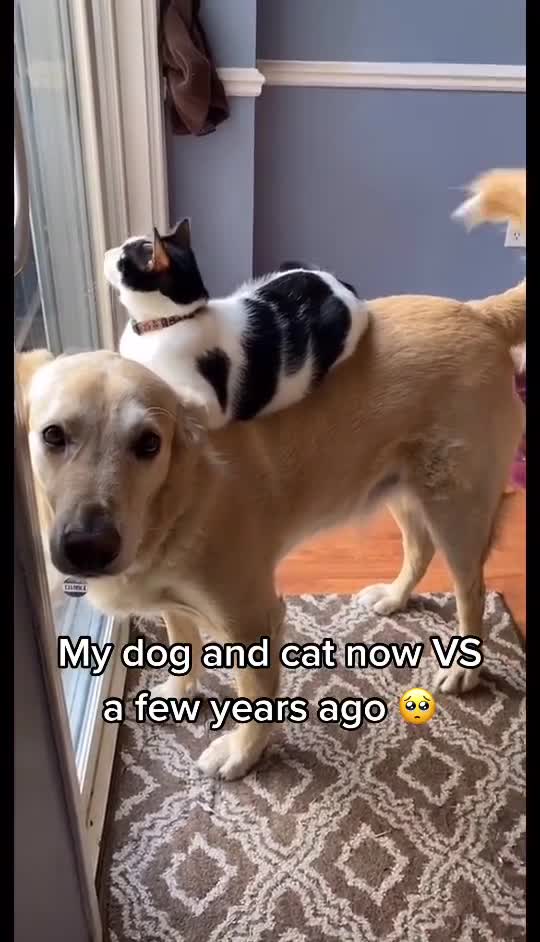 The bestest of friends