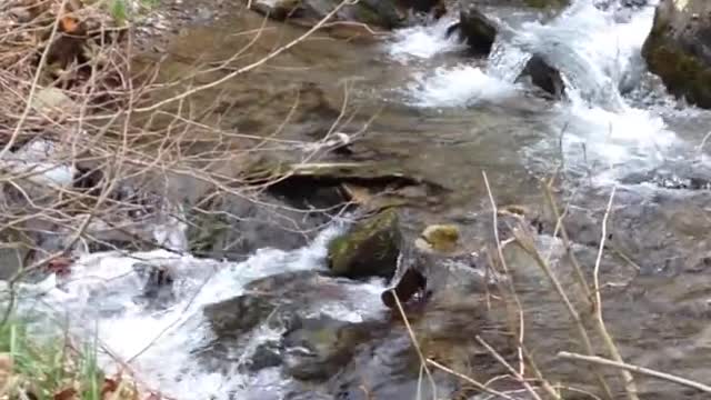 Pretty Babbling Brook Captured During My Epic Road Trip.