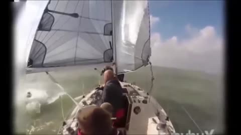 Funny Videos with Animals and Sailors