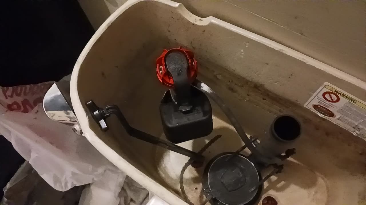 Toilet basics