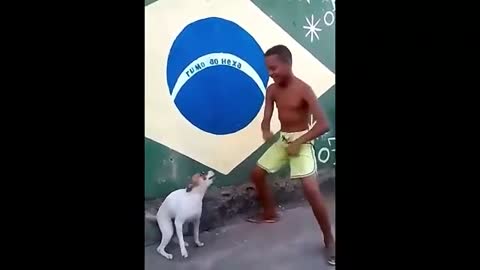 perro Bailando el mejor vídeo