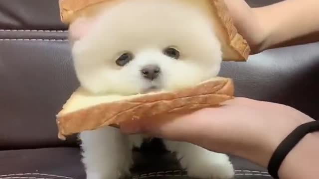 This cream filled bread is very good. The way you stick your tongue out is so cute