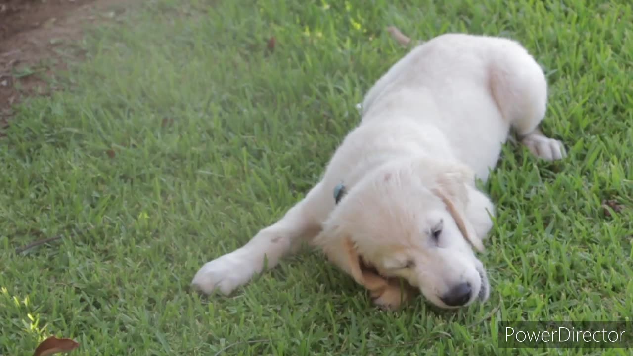 They are realy Cute 🥰