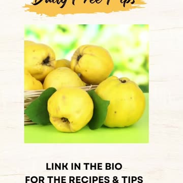 "Quince: The Golden Fruit with Healthful Rewards! 🍐"