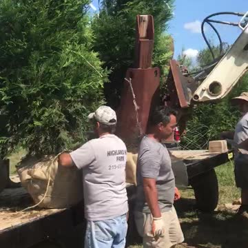 Balling up a big green giant at Highland Hill Farm near Philadelphia