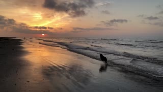 Fetch in Gulf of Mexico