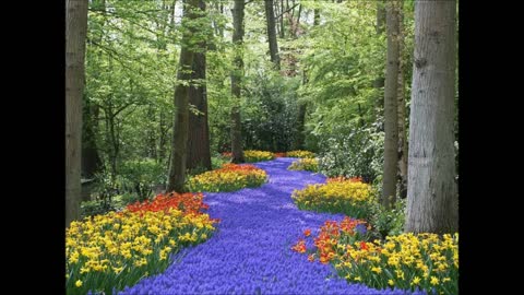 Walk a mile in Jesus love, by Gary Guess