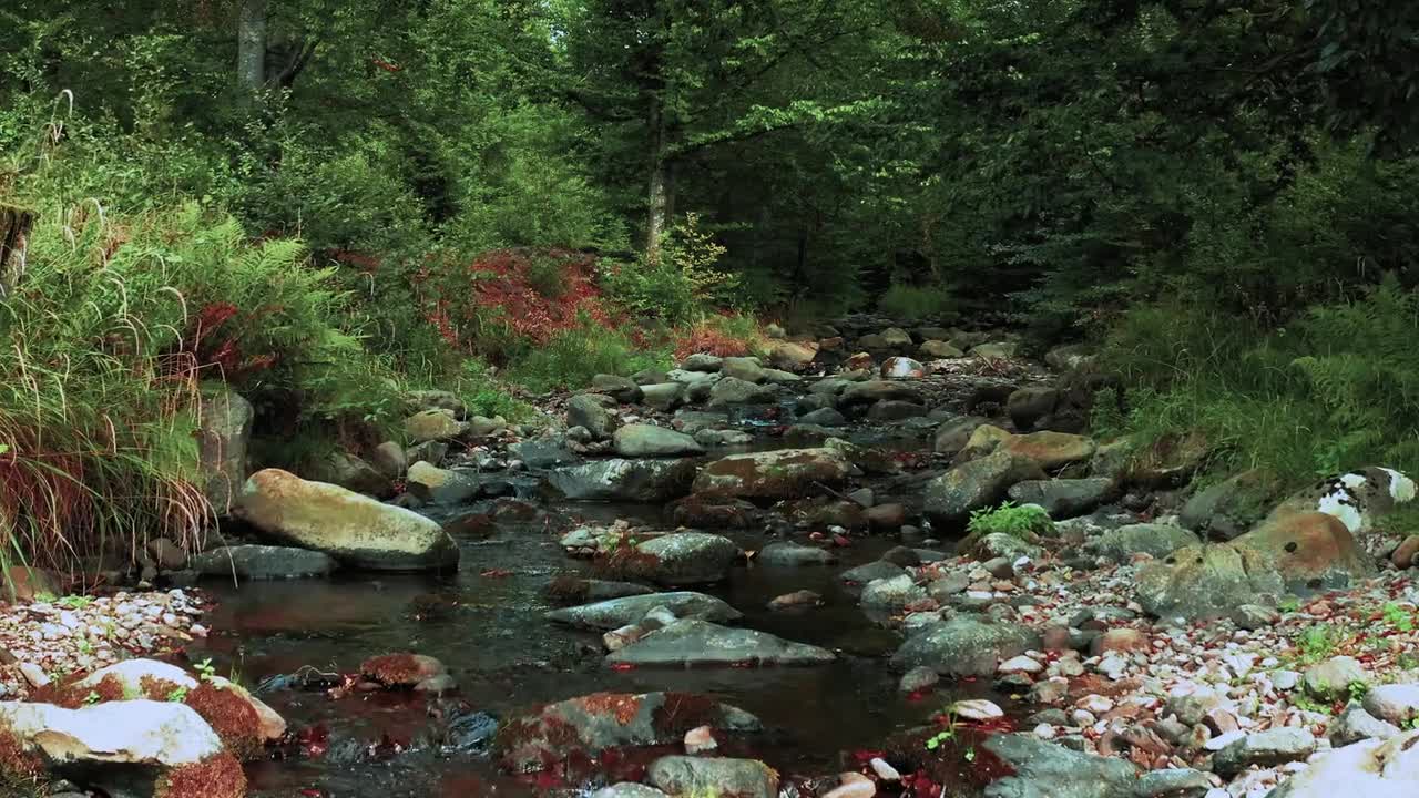 Along The River Muhammad Noman Travel Vlog