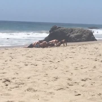 Group of shirtless men push ups on beach
