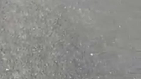 Penny board skates down green hill and drops camera