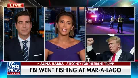 I learned that this was another political witch hunt: Alina Habba