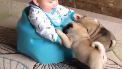dogs and children