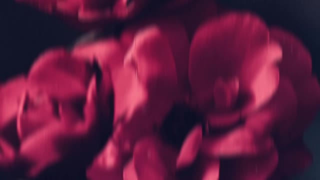 Floral edit