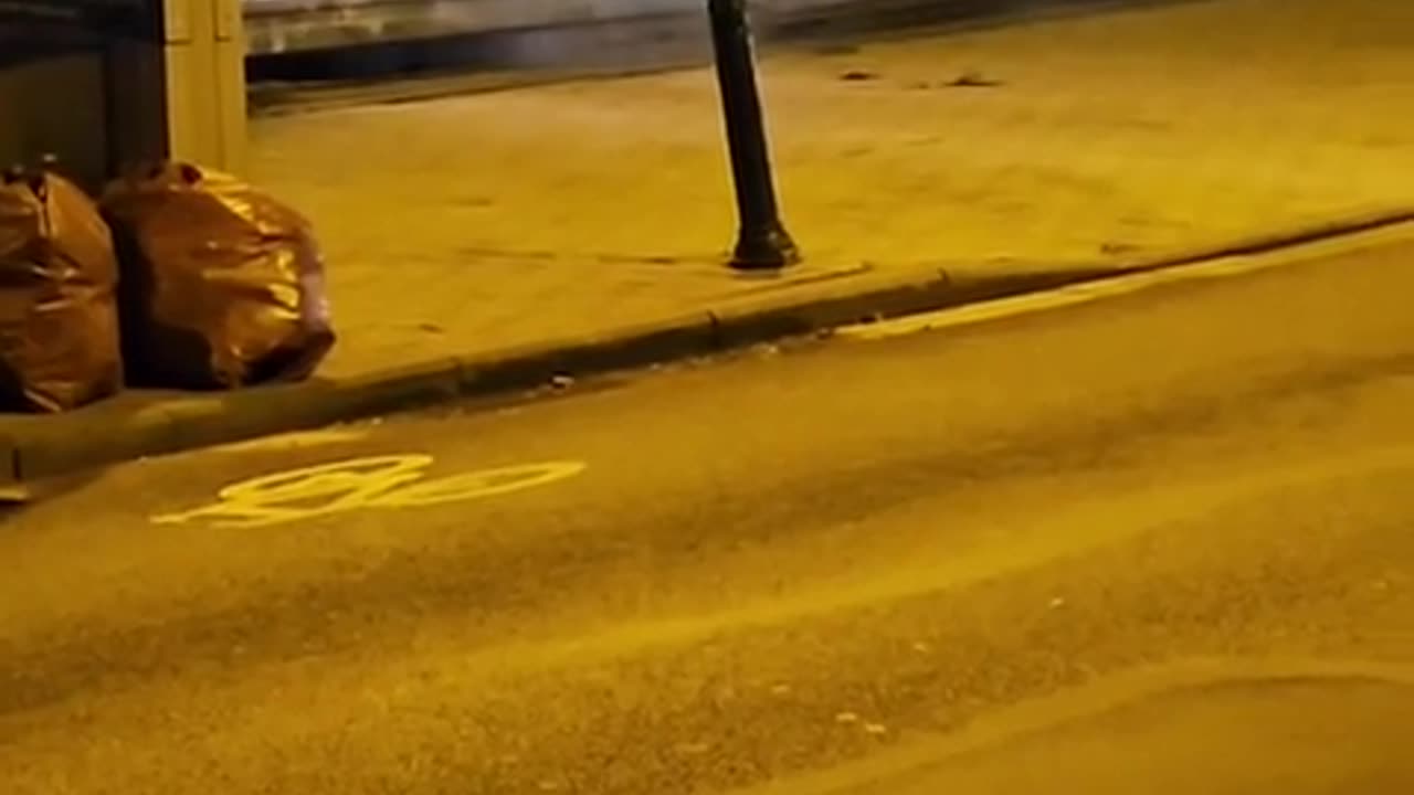 Reckless driver tries to get out of his free parking spot at the local store