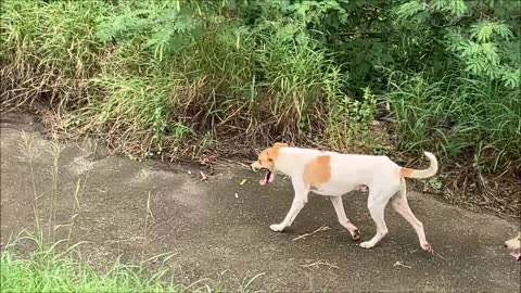 22_0610 Running just for a meal