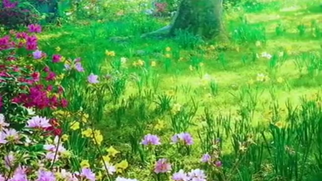 Morning Relaxing Music, Relaxing Music, Calming Music