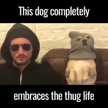 Dog Thug LIFE