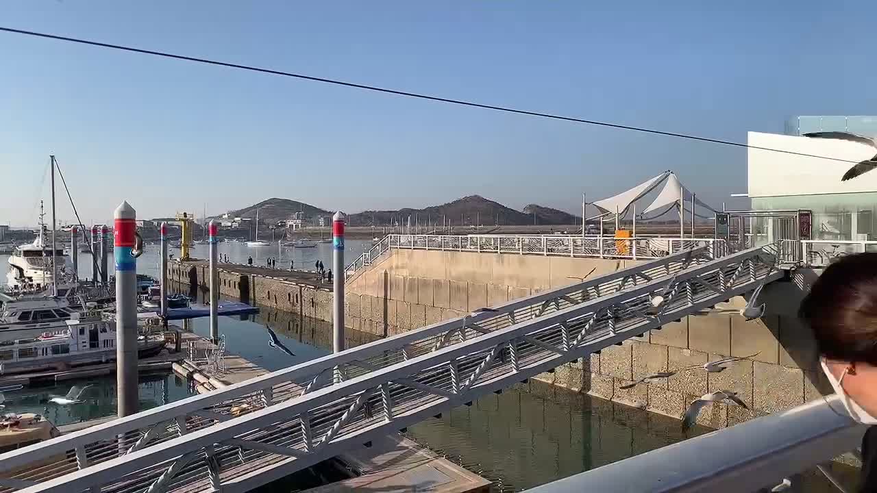 Seagulls eating the beach and snacks