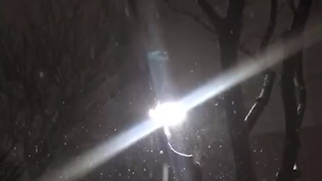 Snow Night in Korea