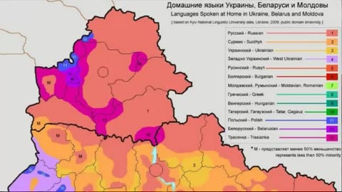 Михаил Онуфриенко последние новости и утренний выпуск на 14.02.2024