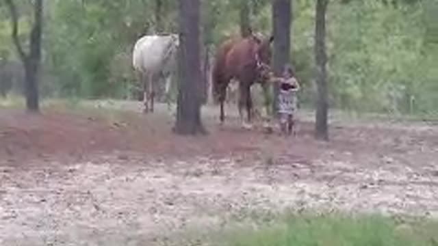 Little cowgirl with her horses